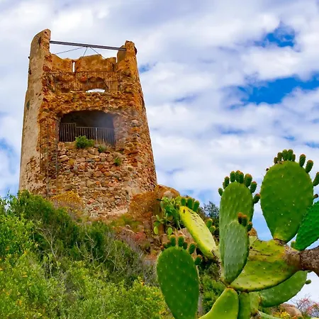 Blue Zone Tiny Penthouse Appartement Bari Sardo