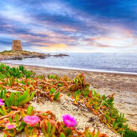 Appartement Blue Zone Tiny Penthouse Bari Sardo