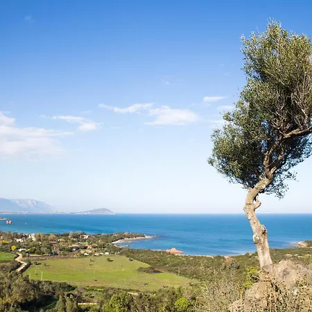 Blue Zone Tiny Penthouse 公寓