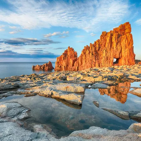 Blue Zone Tiny Penthouse *